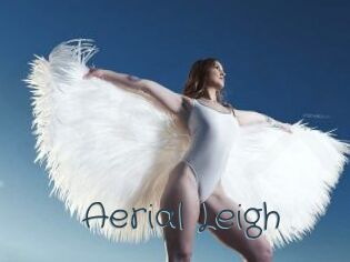 Aerial_Leigh