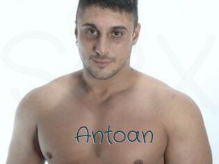 Antoan