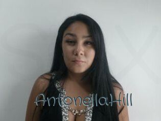 Antonella_Hill