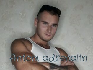 Antoni_adrenal1n