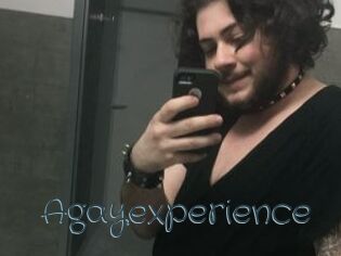 Agayexperience