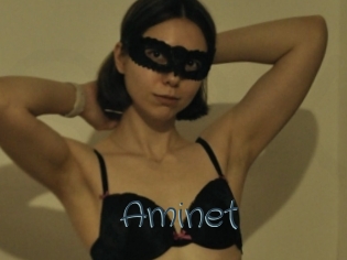 Aminet