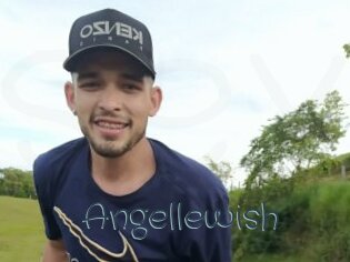 Angellewish