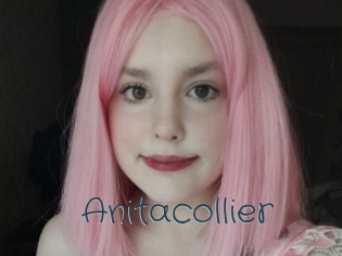 Anitacollier