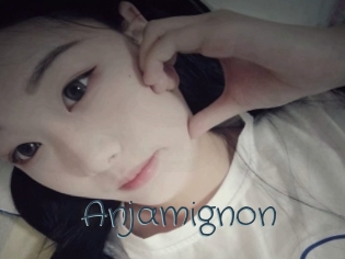 Anjamignon