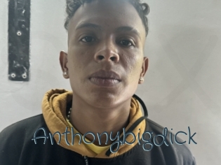 Anthonybigdick