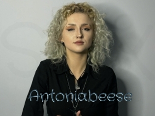 Antoniabeese