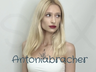 Antoniabracher