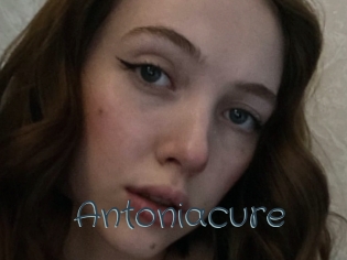 Antoniacure