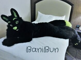 BaniBun