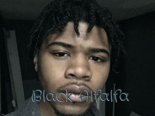 Black_Alfalfa