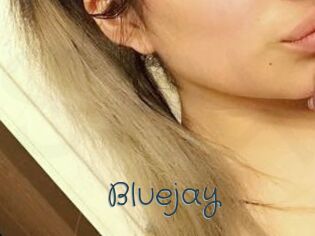 Blue_jay