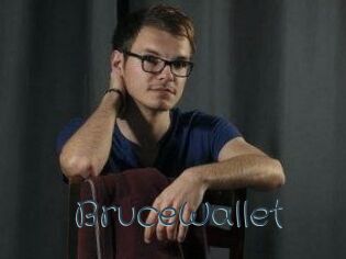 BruceWallet