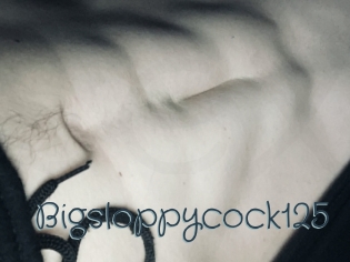 Bigsloppycock125