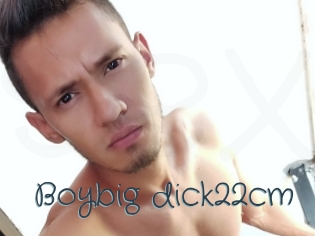 Boybig_dick22cm