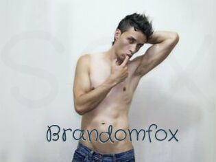 Brandomfox