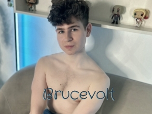 Brucevolt