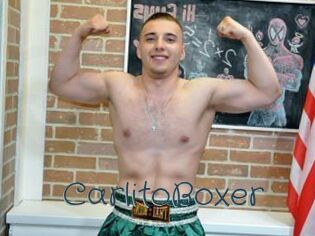 CarlitoBoxer