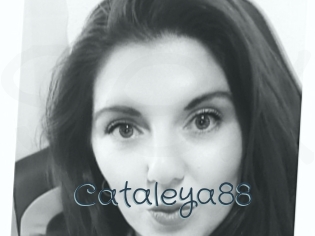 Cataleya88