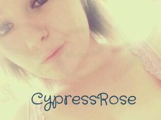 Cypress_Rose