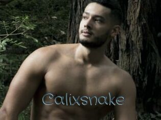 Calixsnake