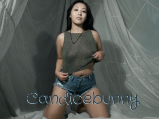 Candicebunny