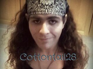 Cottontail28