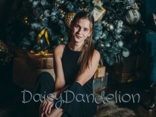 DaisyDandelion