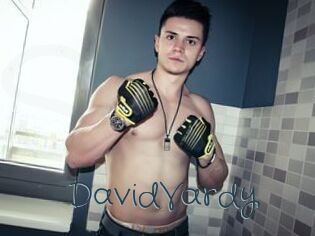 DavidVardy