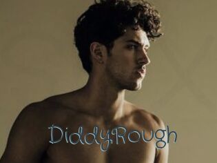 DiddyRough