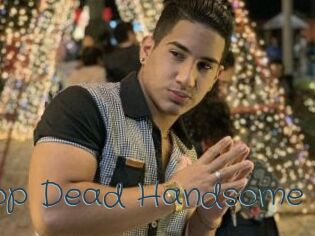 Drop_Dead_Handsome