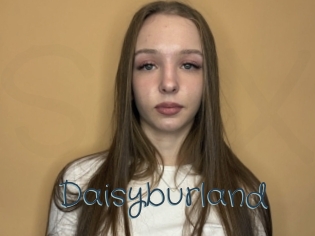 Daisyburland