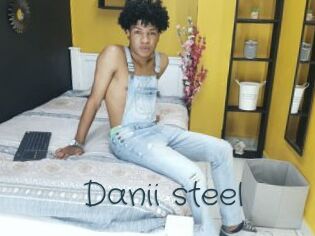 Danii_steel