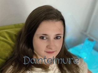 Dantelmure