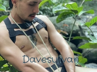 Davesulivan