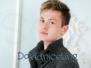 Davidniceking