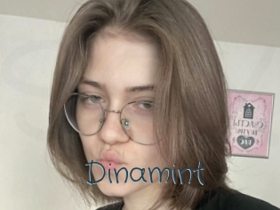 Dinamint