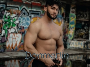 Donmerlin