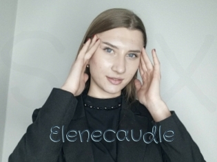 Elenecaudle