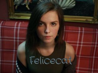 Felicecat