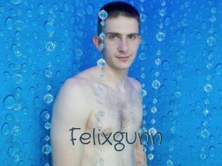 Felixgunn