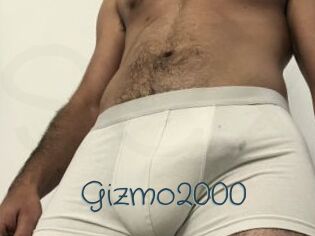 Gizmo2000