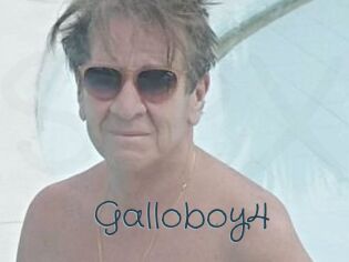 Galloboy4