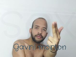 Gavril_morton