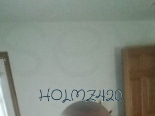 HOLMZ420