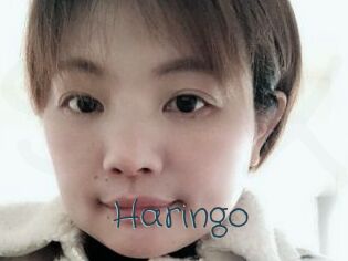 Haringo