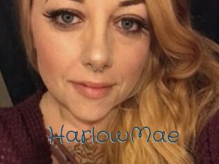 Harlow_Mae