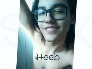 Heeb