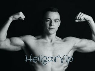 HeilgarVip