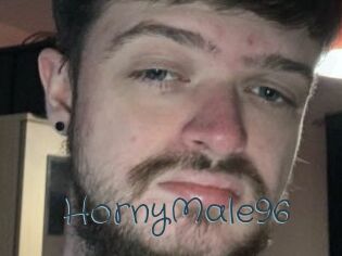 HornyMale96